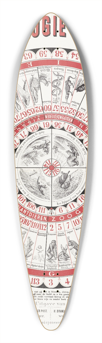 Amand - Zologie-spel 39.3 inch art pintail longboard deck