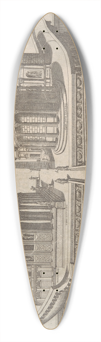 Ambrogio Brambilla - Insula Tiberina 39.3 inch art pintail longboard deck