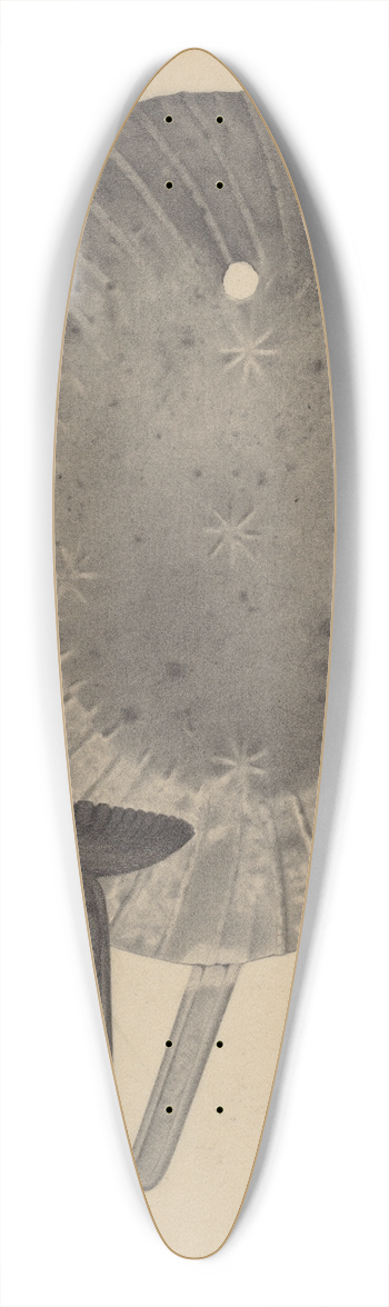 Amelia Tuccio - Sconce 39.3 inch art pintail longboard deck