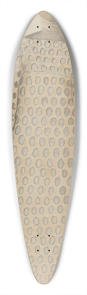 American 20th Century - Rag Doll 39.3 inch art pintail longboard deck