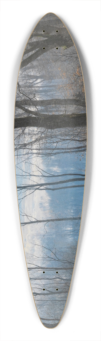 Anders Andersen-Lundby - Wintertag im Englischen Garten in Mnchen 39.3 inch art pintail longboard deck