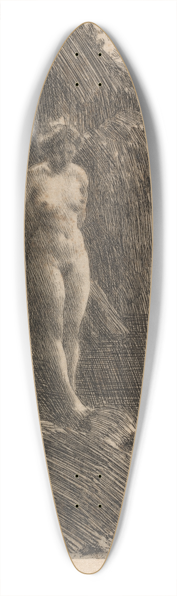Anders Zorn - Precipice 39.3 inch art pintail longboard deck