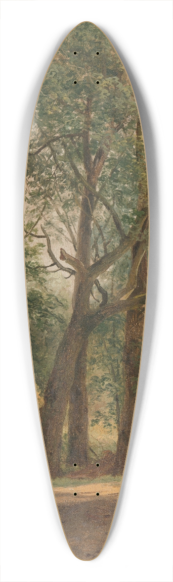 Andreas Schelfhout - Farmyard 39.3 inch art pintail longboard deck