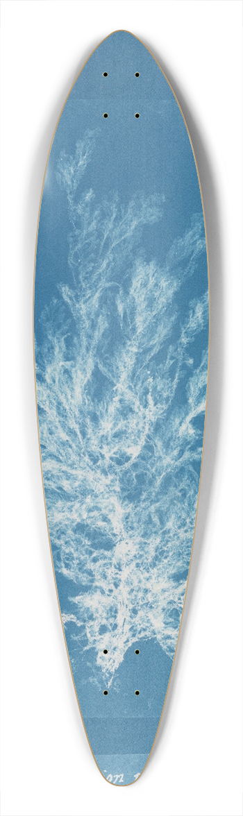 Anna Atkins - Callithamnion plumula 39.3 inch art pintail longboard deck