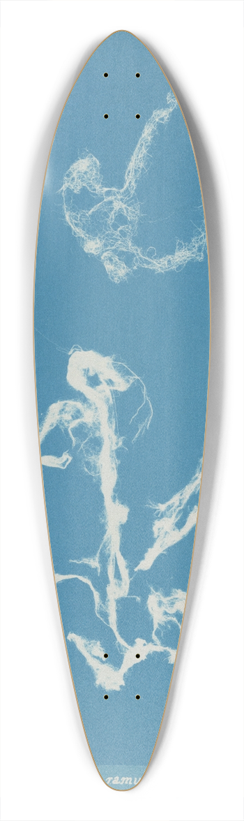 Anna Atkins - Enteromorpha ramulosa 39.3 inch art pintail longboard deck