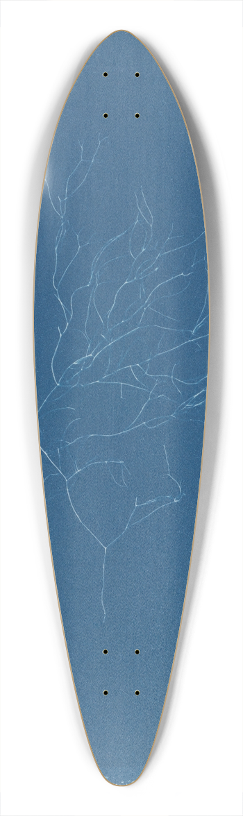 Anna Atkins - Gigartina Griffithsiae 39.3 inch art pintail longboard deck