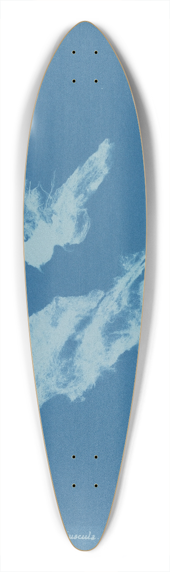 Anna Atkins - Lyngbya majuscula 39.3 inch art pintail longboard deck