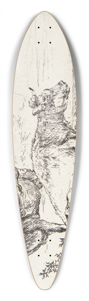 Anthonie van Borssom - Two cows 39.3 inch art pintail longboard deck
