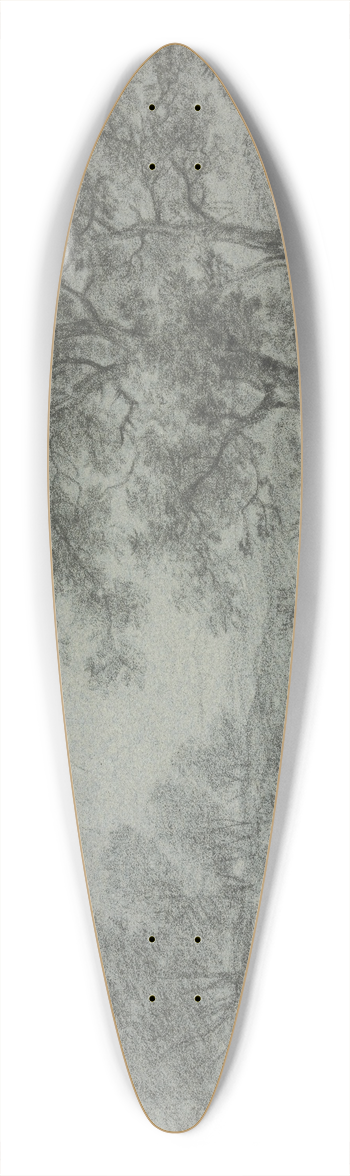 Antonie Waterloo - Tree section by the water 39.3 inch art pintail longboard deck