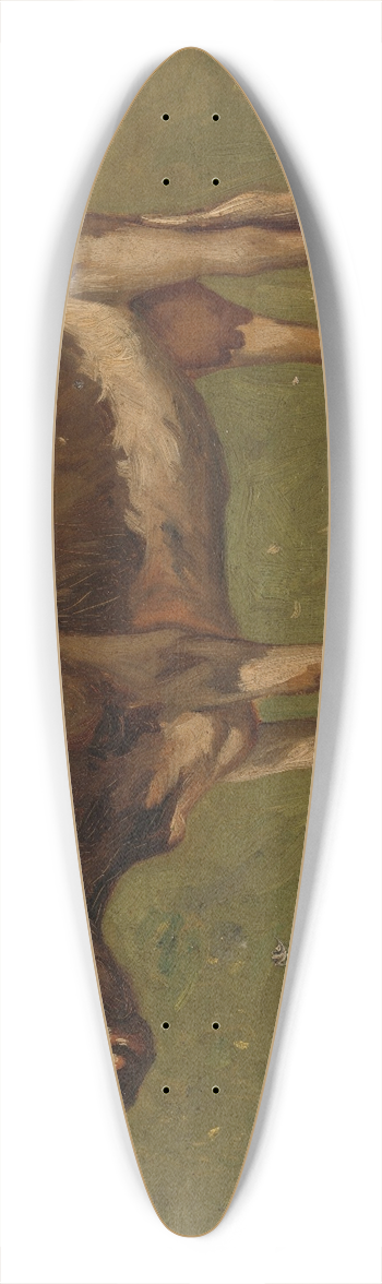 Anton Mauve - Koe 39.3 inch art pintail longboard deck