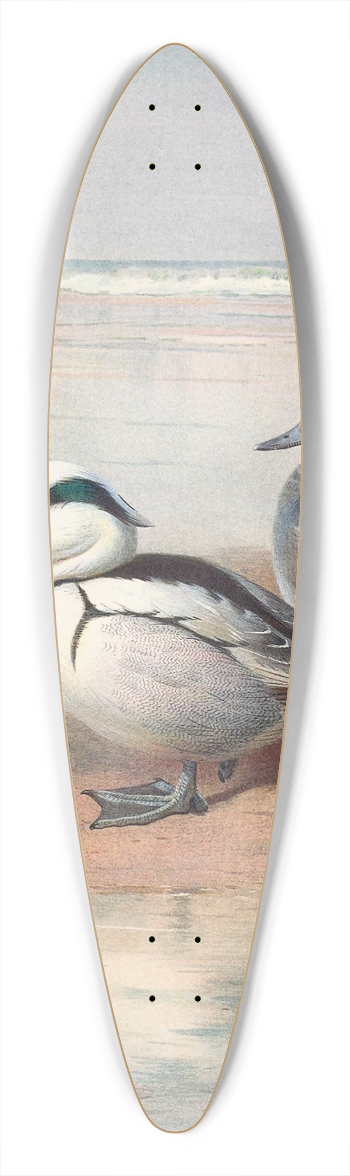 Archibald Thorburn - Smew 39.3 inch art pintail longboard deck
