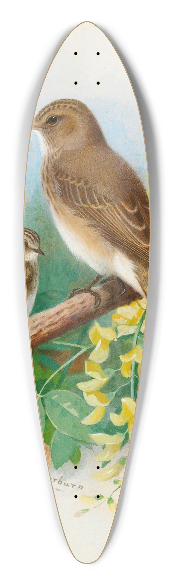 Archibald Thorburn - Spotted Flycatchers 39.3 inch art pintail longboard deck