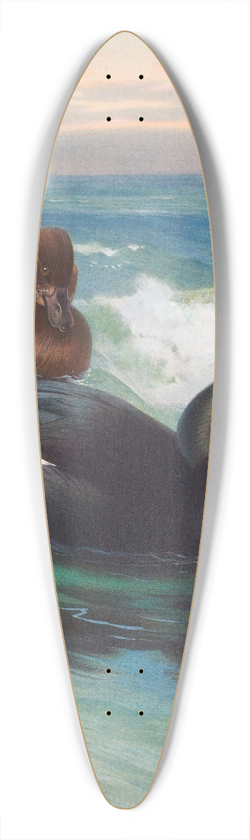 Archibald Thorburn - Velvet-Scoter 39.3 inch art pintail longboard deck