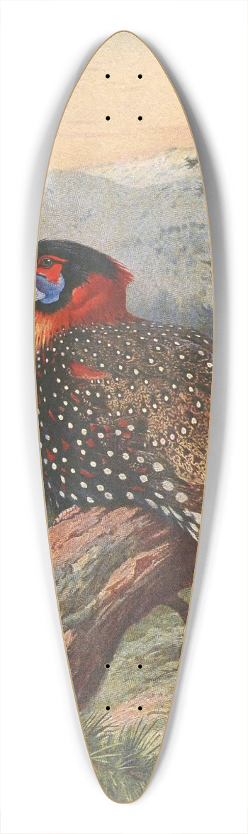 Archibald Thorburn - Western Tragopan 39.3 inch art pintail longboard deck