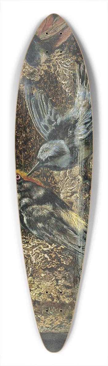 Arthur H. Davis - Stuffed Birds In A Dome 39.3 inch art pintail longboard deck