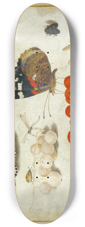Jan van Kessel the Younger - Butterfly, Caterpillar, Moth, Insects, and Currants 8.25 inch art skate deck