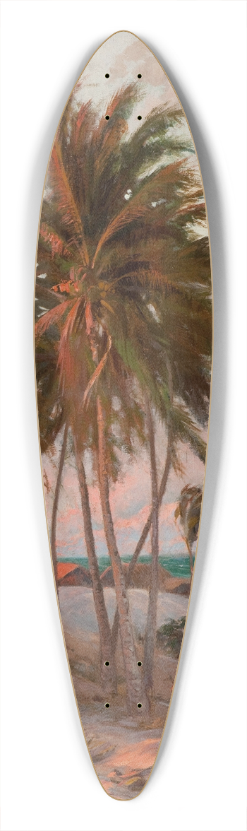 Aurlio Figueiredo - Beach in Fortaleza 39.3 inch art pintail longboard deck