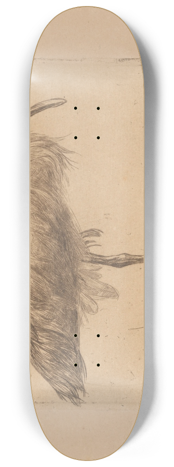 Jan Veth - Ibis 8.25 inch art skate deck