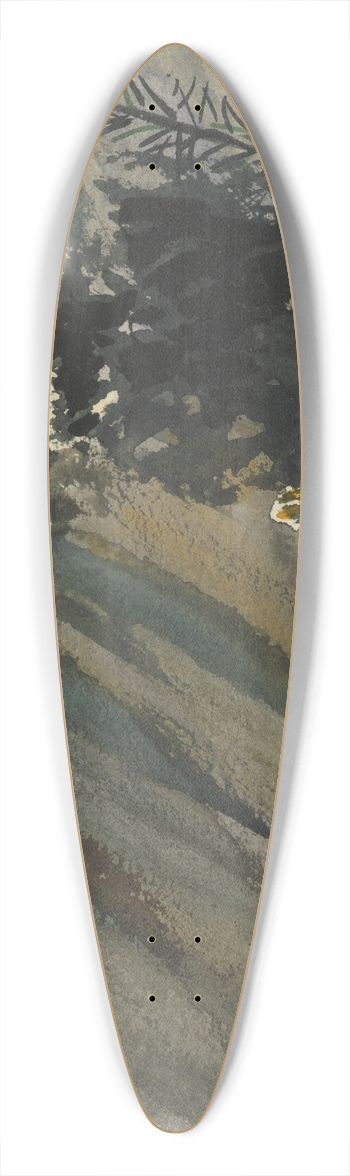 Barbara Bodichon - Sketchbook 39.3 inch art pintail longboard deck