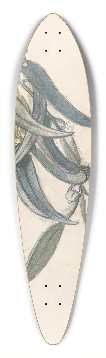 Barbara Elisabeth van Houten - Bloeiende tak van een eucalyptus 39.3 inch art pintail longboard deck