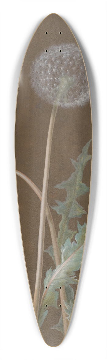 Barbara Regina Dietzsch - Dandelion 39.3 inch art pintail longboard deck