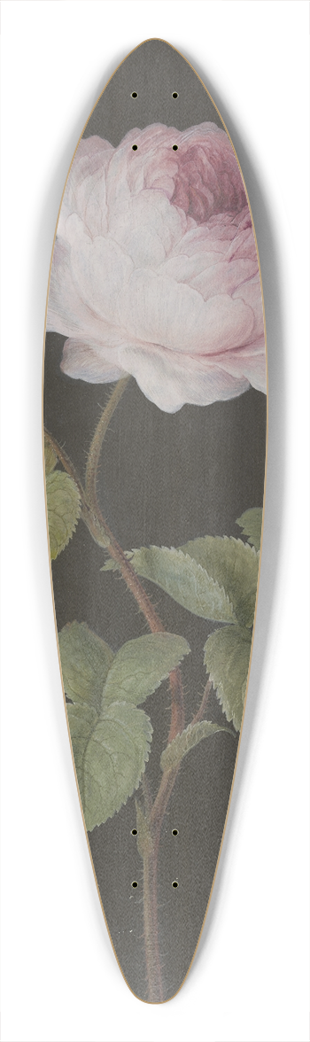 Barbara Regina Dietzsch - Rosa Rose (Rosa) mit einem braunen Kfer 39.3 inch art pintail longboard deck