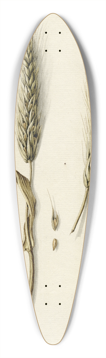 Barend Hendrik Thier - Rijpe rogge 39.3 inch art pintail longboard deck