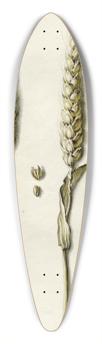 Barend Hendrik Thier - Rijpe tarwe 39.3 inch art pintail longboard deck