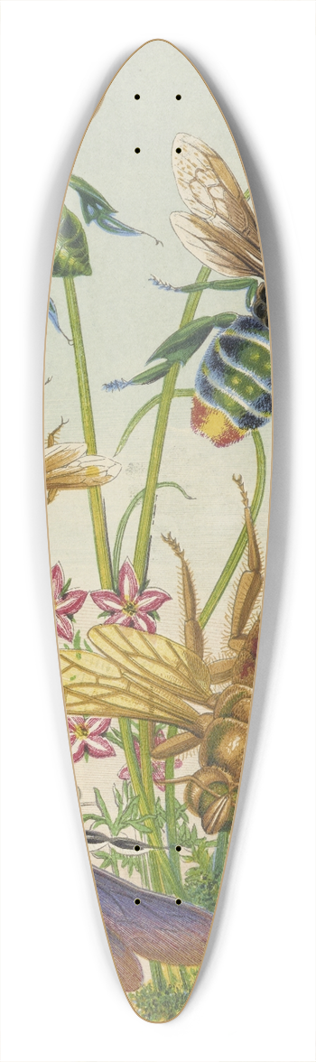 Barret And Sons - Bees And Their Conterfeits 39.3 inch art pintail longboard deck