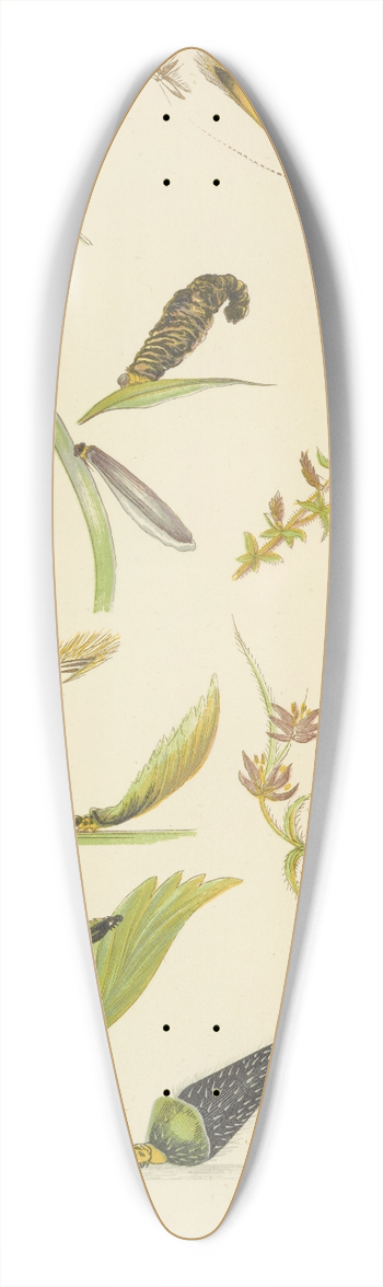 Barret And Sons - Coleophora Or Tent-Makers 39.3 inch art pintail longboard deck