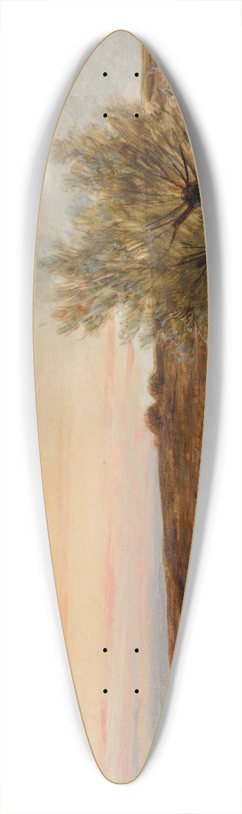 Bela Spanyi - Partie an der Theiss 39.3 inch art pintail longboard deck