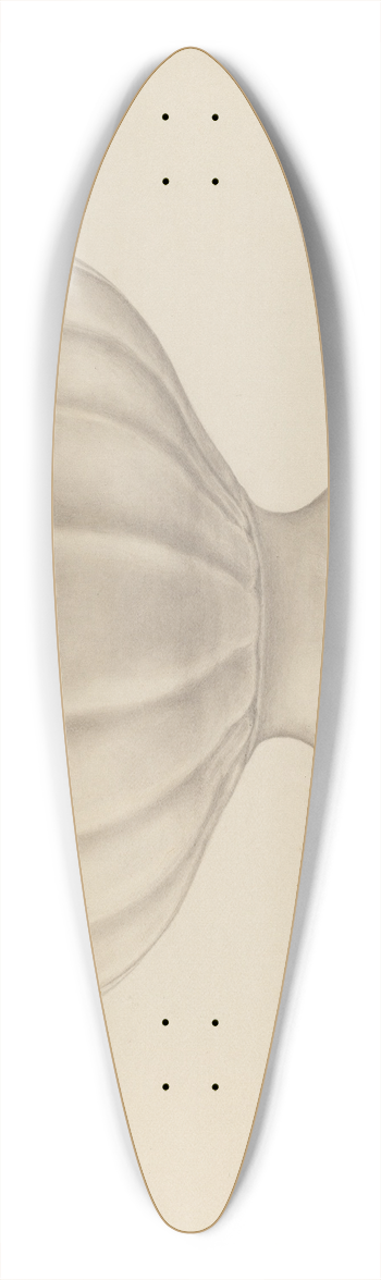 Bena Mayer - Compote 39.3 inch art pintail longboard deck