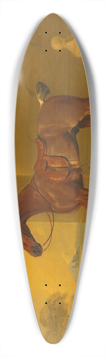 Benjamin Marshall - Roan Hack 39.3 inch art pintail longboard deck