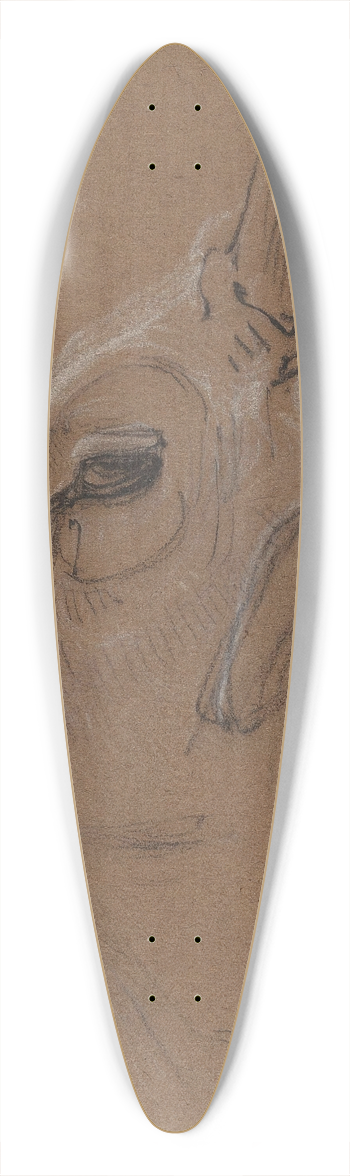 Bernard Willem Wierink - Zebu 39.3 inch art pintail longboard deck