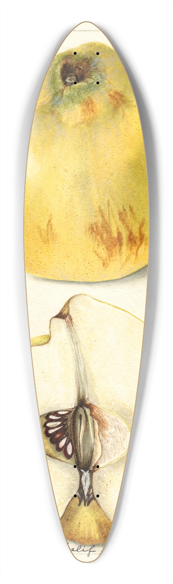 Bertha Heiges - Cydonia oblonga: Pineapple 39.3 inch art pintail longboard deck