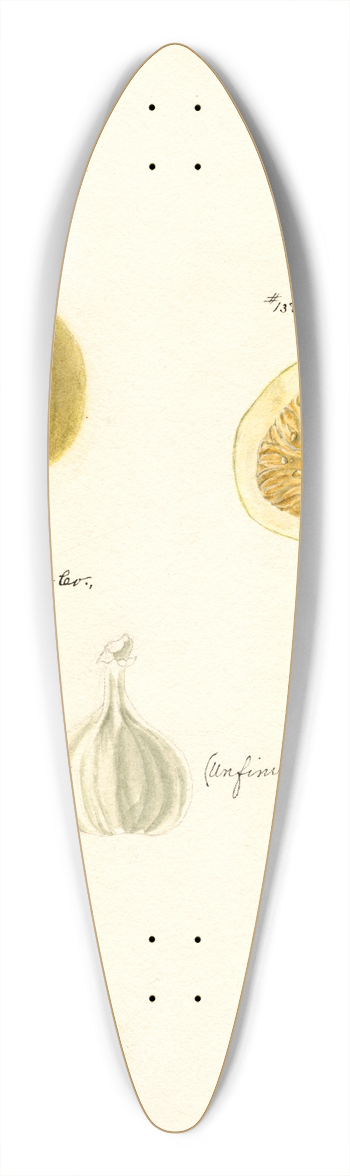 Bertha Heiges - Ficus: Smyrna 39.3 inch art pintail longboard deck