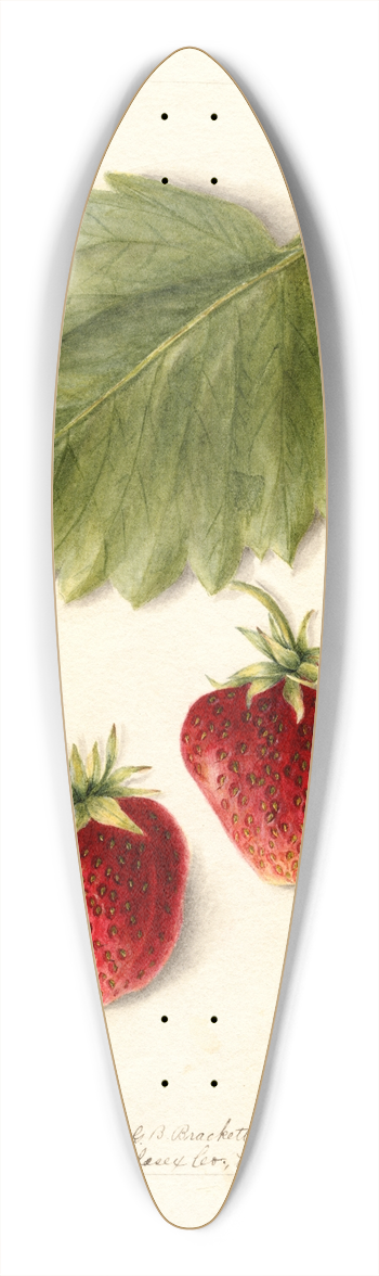 Bertha Heiges - Fragaria: Marshall 39.3 inch art pintail longboard deck