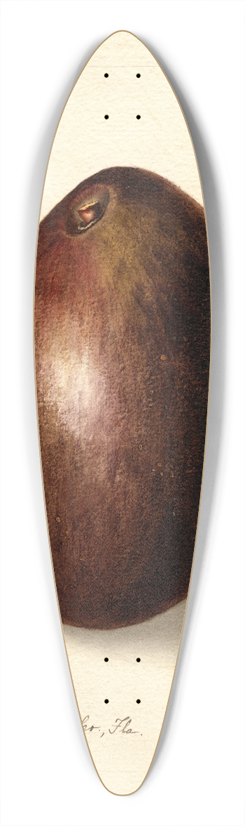 Bertha Heiges - Persea: Baldwin 39.3 inch art pintail longboard deck