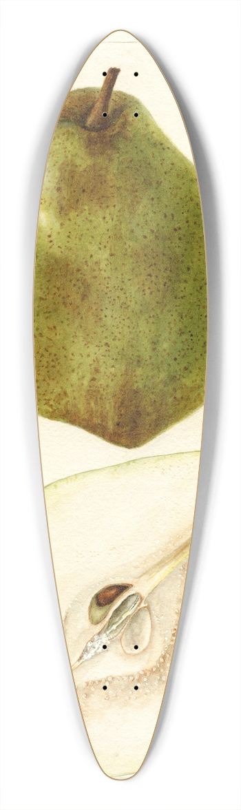 Bertha Heiges - Pyrus communis: Kieffer Most Green 39.3 inch art pintail longboard deck