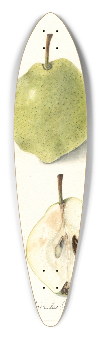 Bertha Heiges - Pyrus communis: Wiest 39.3 inch art pintail longboard deck