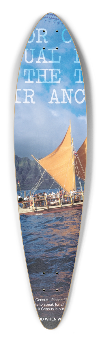 Bureau of the Census - Native Hawaiian Action Poster 39.3 inch art pintail longboard deck