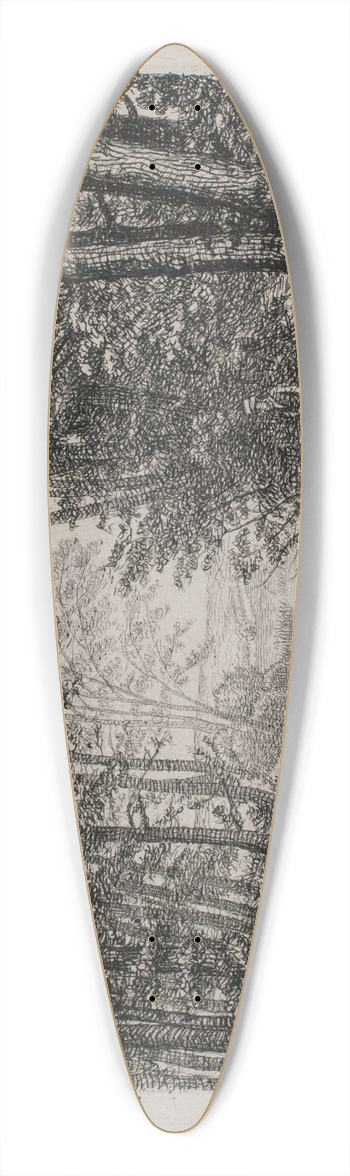 CA Klle - lb i en skov 39.3 inch art pintail longboard deck
