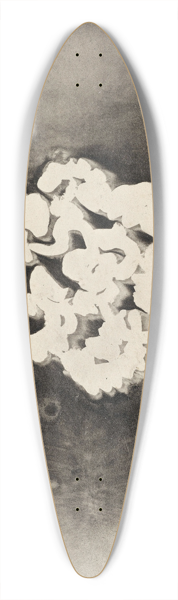Carel Adolph Lion Cachet - Bloem III 39.3 inch art pintail longboard deck