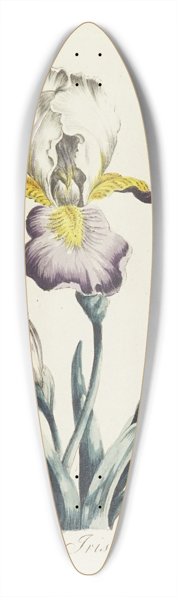 Carington Bowles - Iris 39.3 inch art pintail longboard deck