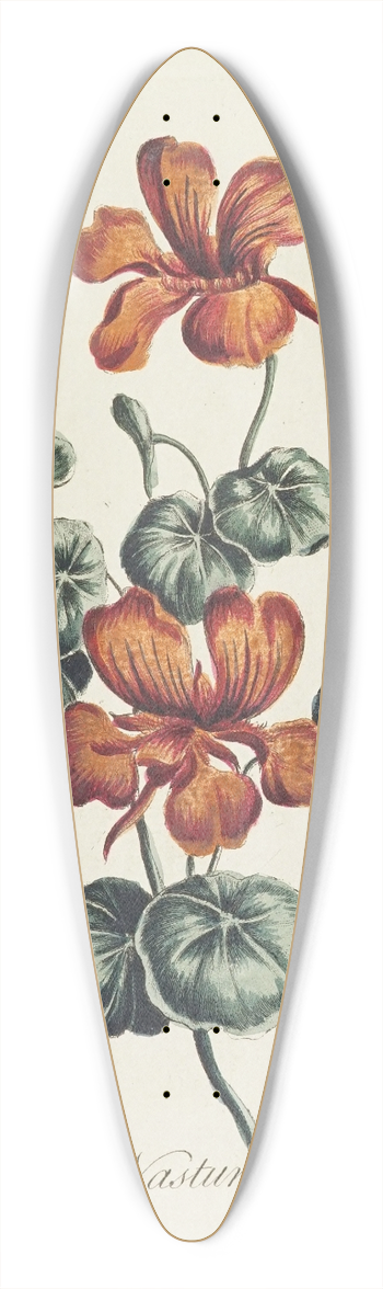 Carington Bowles - Nasturtium 39.3 inch art pintail longboard deck