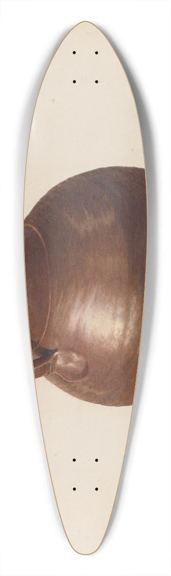 Carl Buergerniss - Stone Jug 39.3 inch art pintail longboard deck