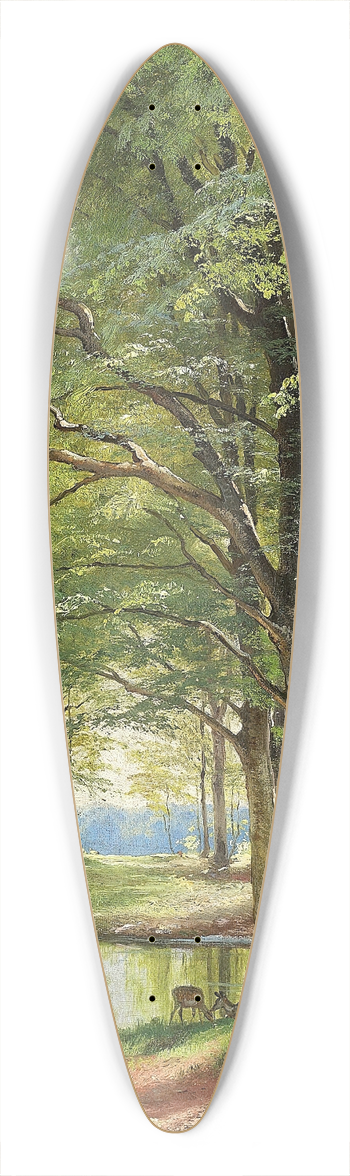 Carl Frederik Aagaard - lb gennem skoven 39.3 inch art pintail longboard deck