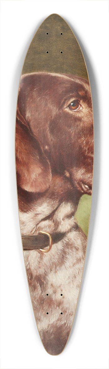 Carl Reichert - Head of a German Shorthaired Pointer 39.3 inch art pintail longboard deck