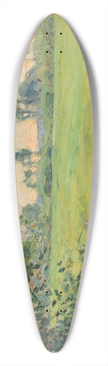 Carl Trgrdh - Landskap 39.3 inch art pintail longboard deck