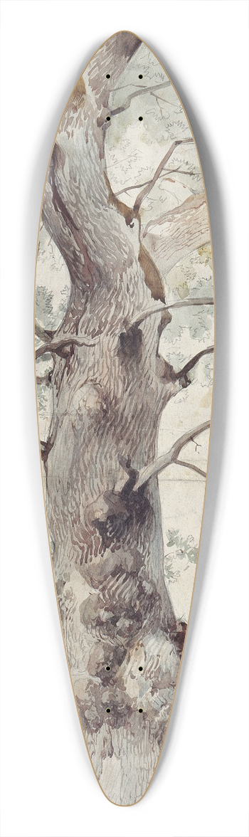 Caspar Scheuren - Study of a Tree 39.3 inch art pintail longboard deck